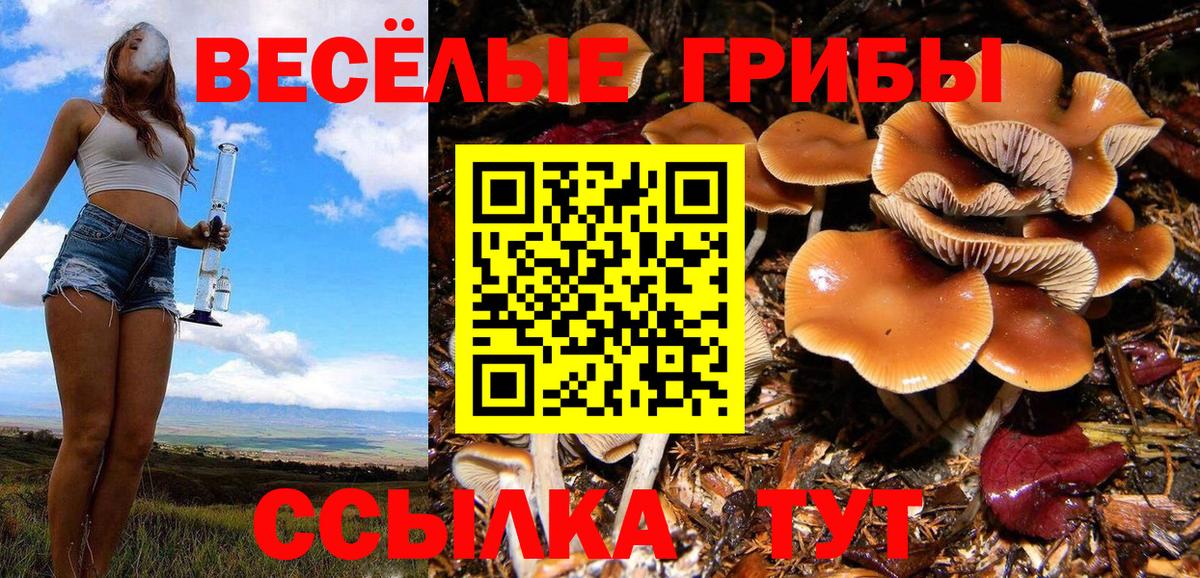 Галлюциногенные грибы GOLDEN TEACHER Нефтекамск