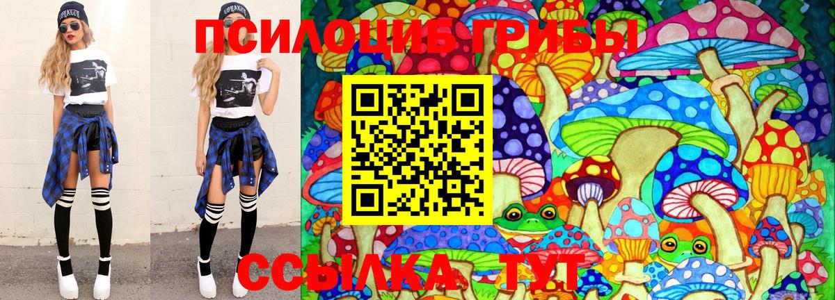 Нефтекамск  Галлюциногенные грибы Cubensis  Вход с VPN 